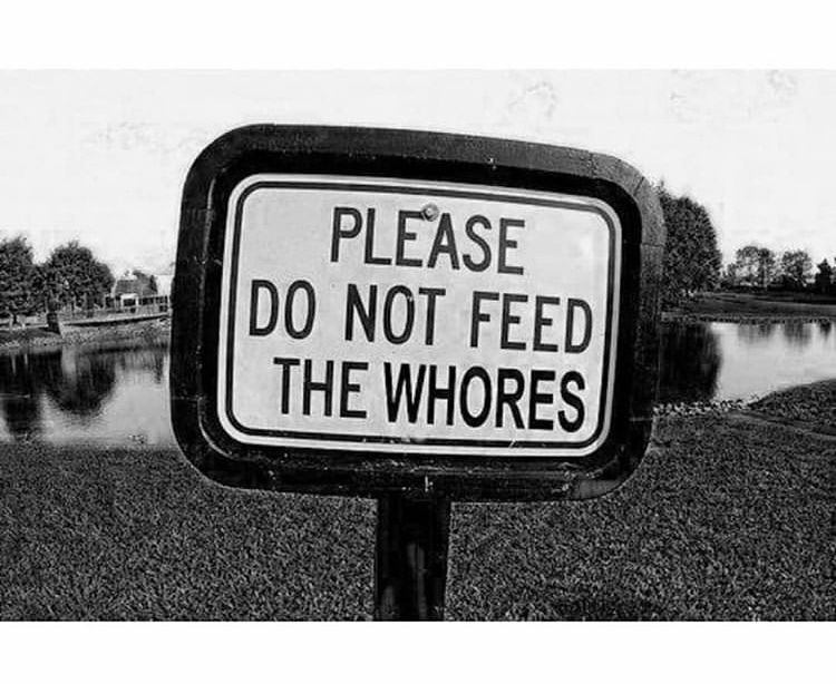 Anna NiHOE Smith 🐲🐉 photo